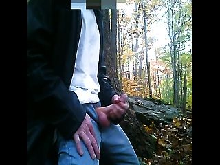 Autumn Jerk In The Woods