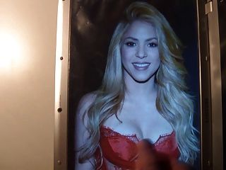 Shakira Cum Tribute
